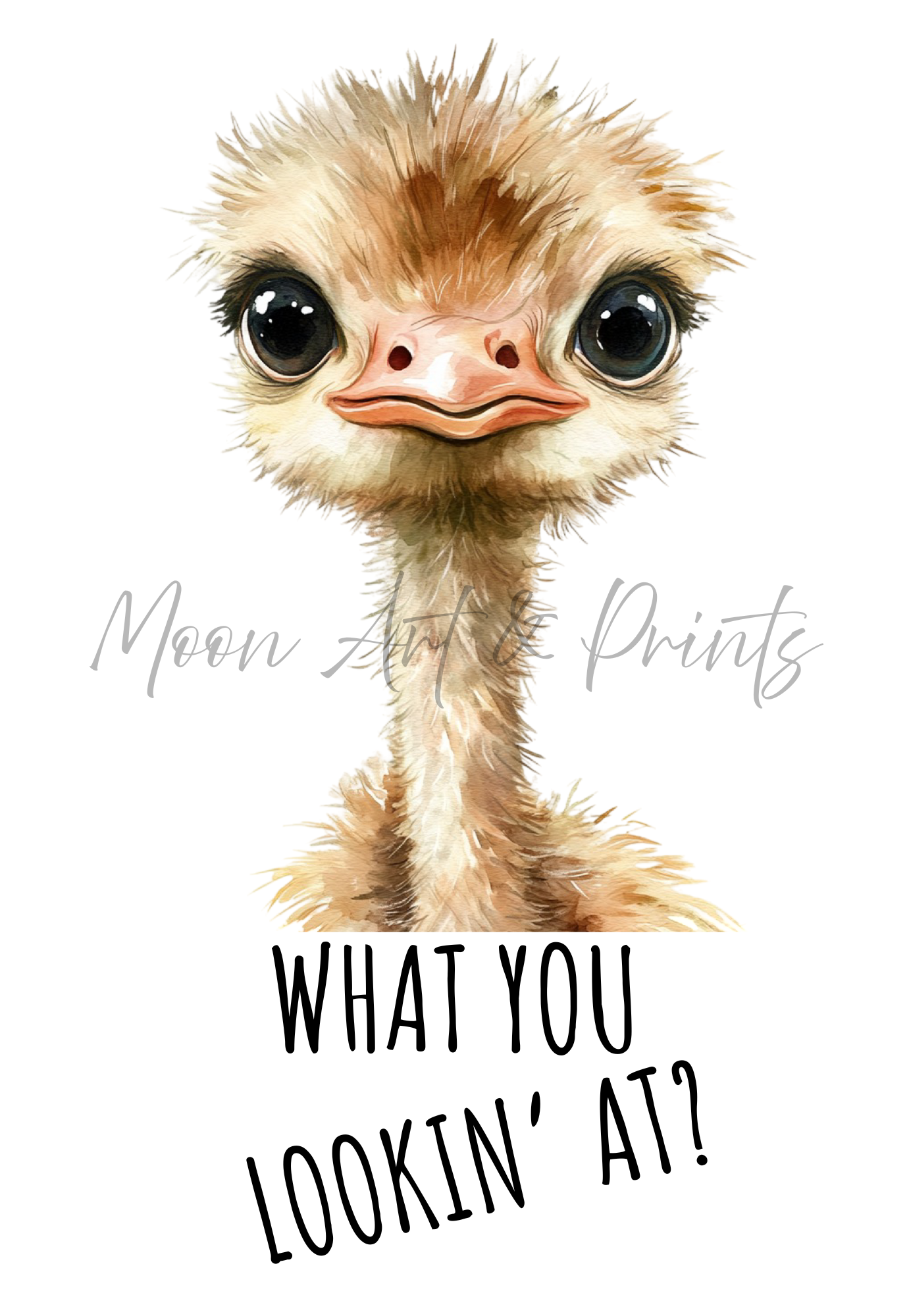 Funny ostrich print wall art - What You Lookin At - Animals with Attitude collection