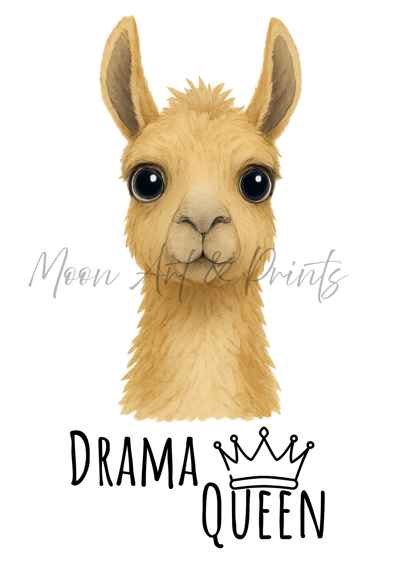Drama Queen Wall Art Animal 